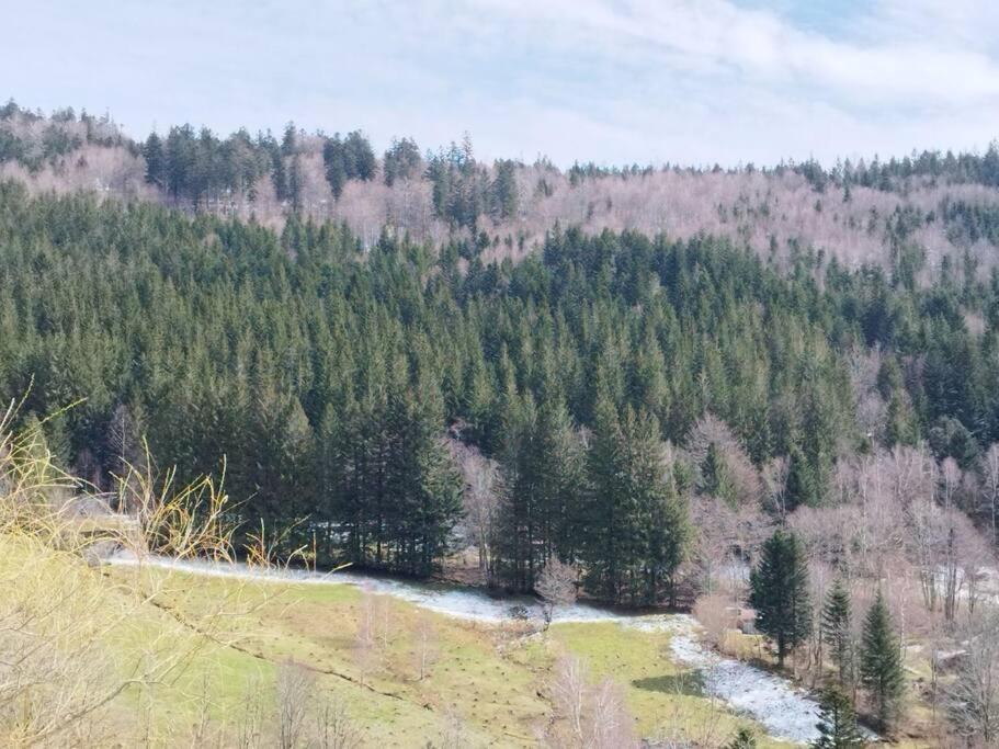 Maison De Montagne Vue Magnifique فينترون المظهر الخارجي الصورة